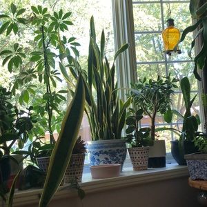 Meet your Posher, Isabelle